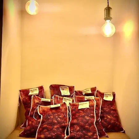 Il Vicolo Bed & Breakfast